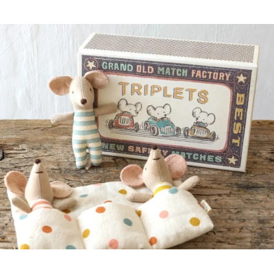 Мышата-тройняшки в спичечном коробке