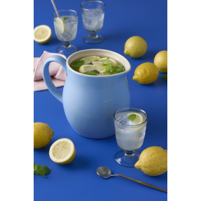 Кувшин Mynte Blue Bell 2,5 л