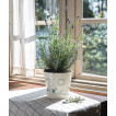 Горшок для цветов Moomin Гардения 16 см