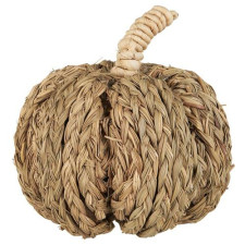 Фигурка Pumpkin of couch grass